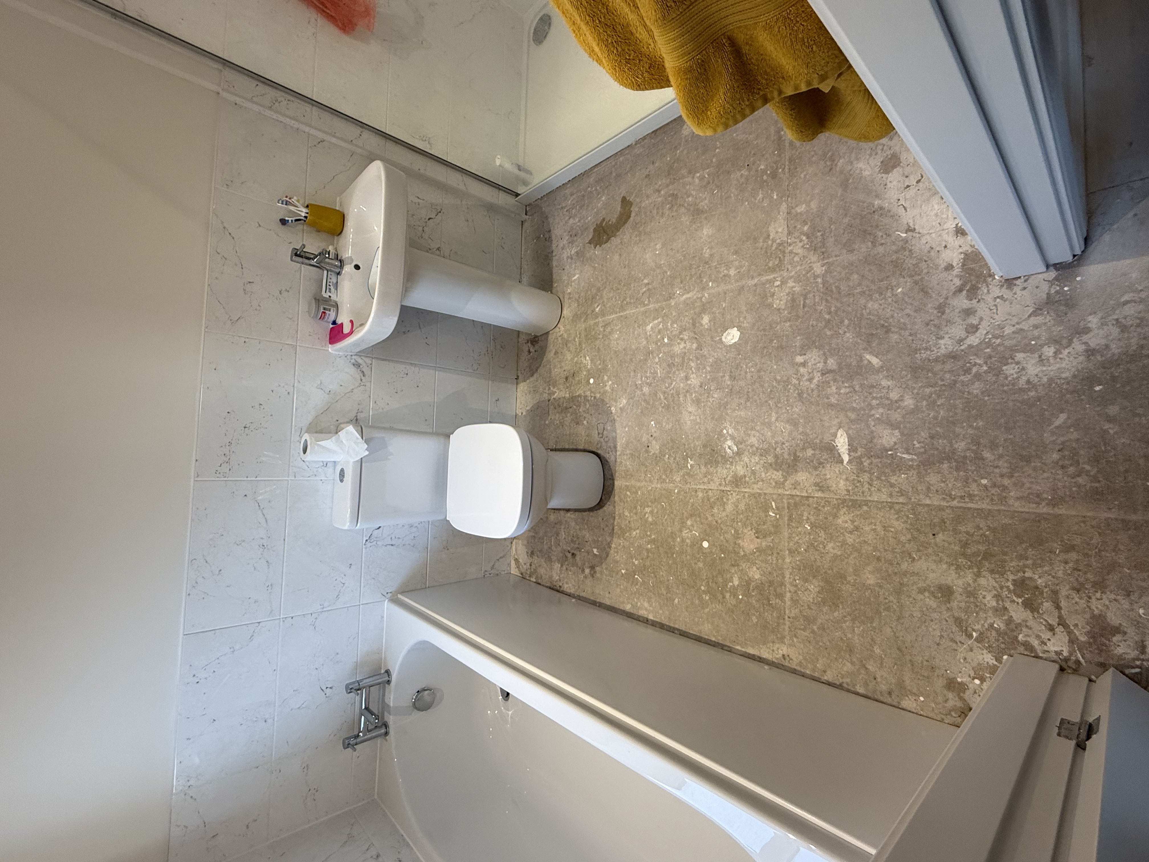 Bathroom Renovation — before