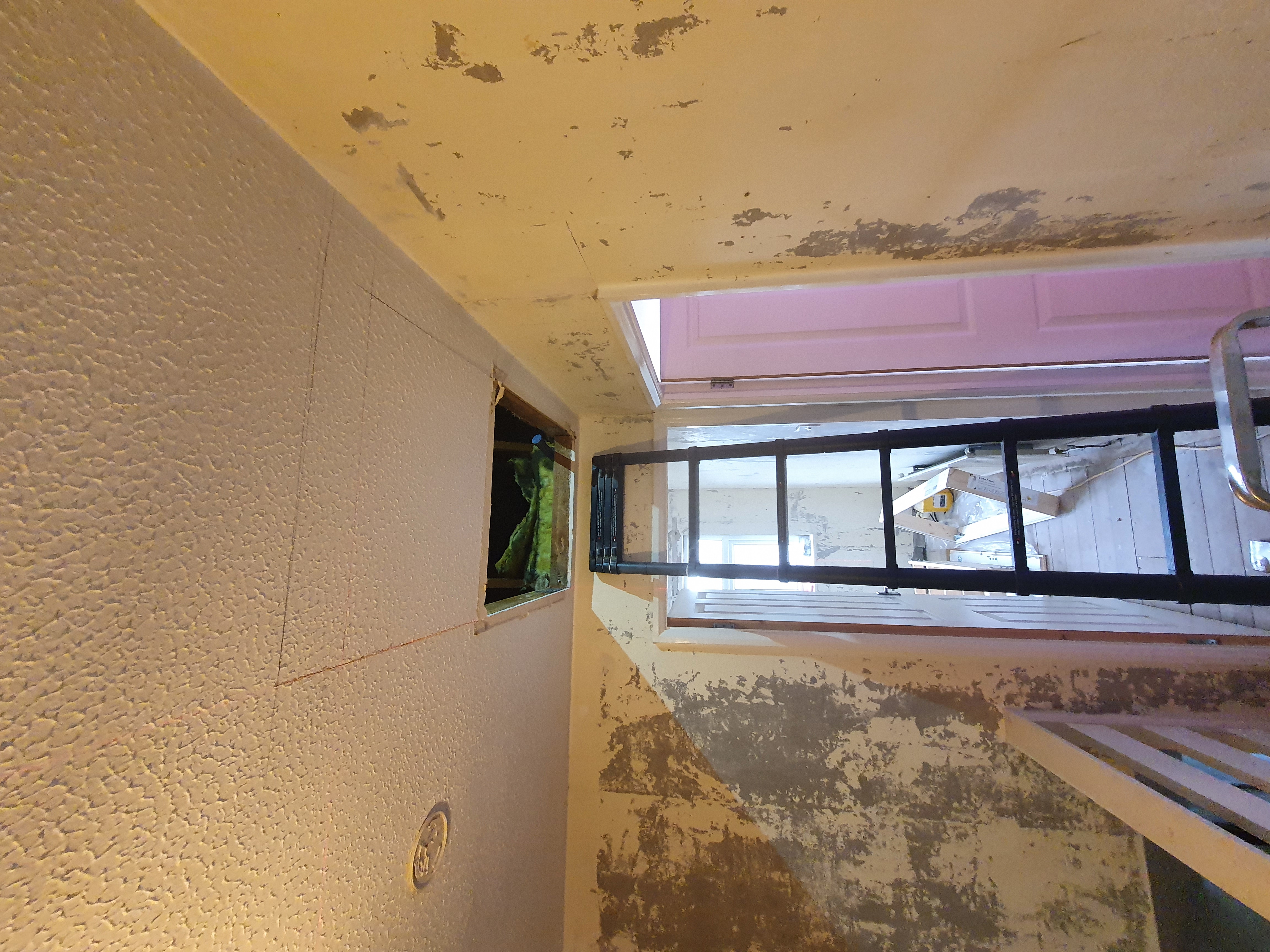 Loft Conversion — before
